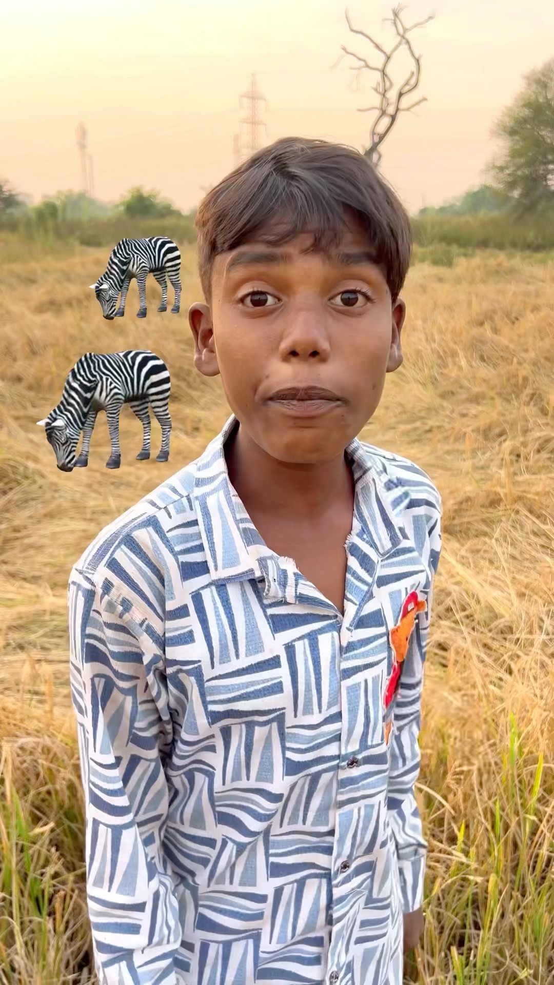 CHOTU KA VILAGE TIGER #shorts @FACTFIREKING