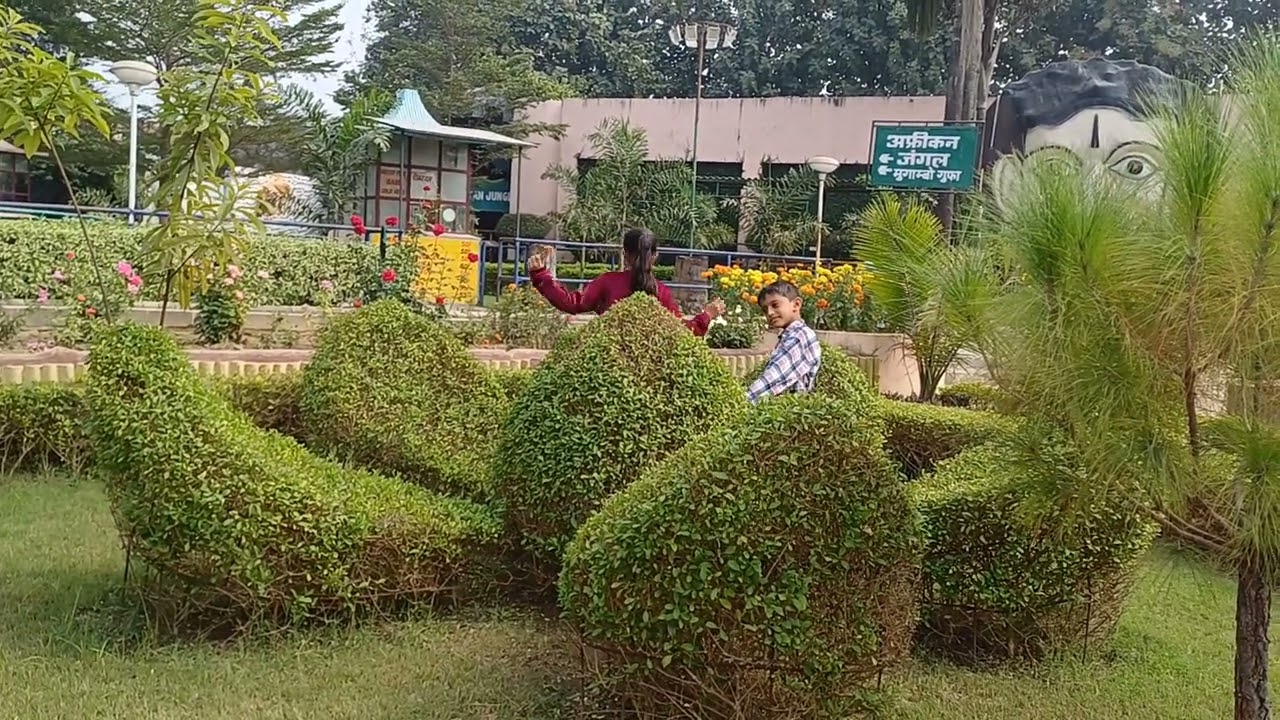 AFRICAN JUNGLE FUNCITY BAREILLY