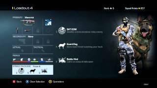 Call of Duty Ghosts Best Class for Maverick