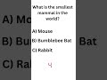 Smallest Mammal in the World #quiz