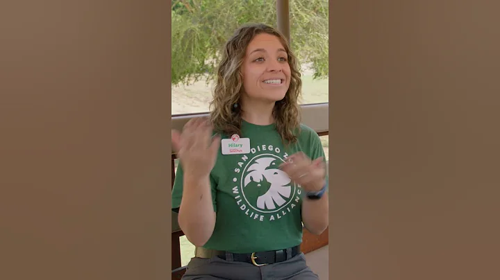 Do you want to join the Lorax's rhino safari adventure? #DrSeuss #Shorts