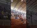 Ari Ágil voando no Campeonato Genius Tyres FuelTech Radical 4x4 o melhor da América Latina #4x4
