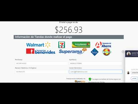 Formatos de Pago