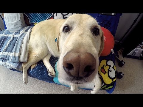 A Week with Hunter - A Week with Hunter
