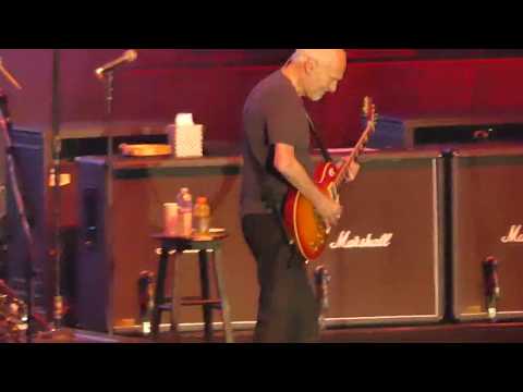 PETER FRAMPTON :
