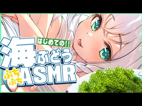 【ASMR】はじめての！ぷちぷち海ぶどうを食べる！【ホロライブ/白上フブキ】