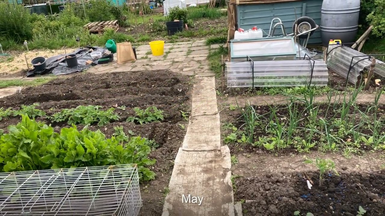 Allotment  2025