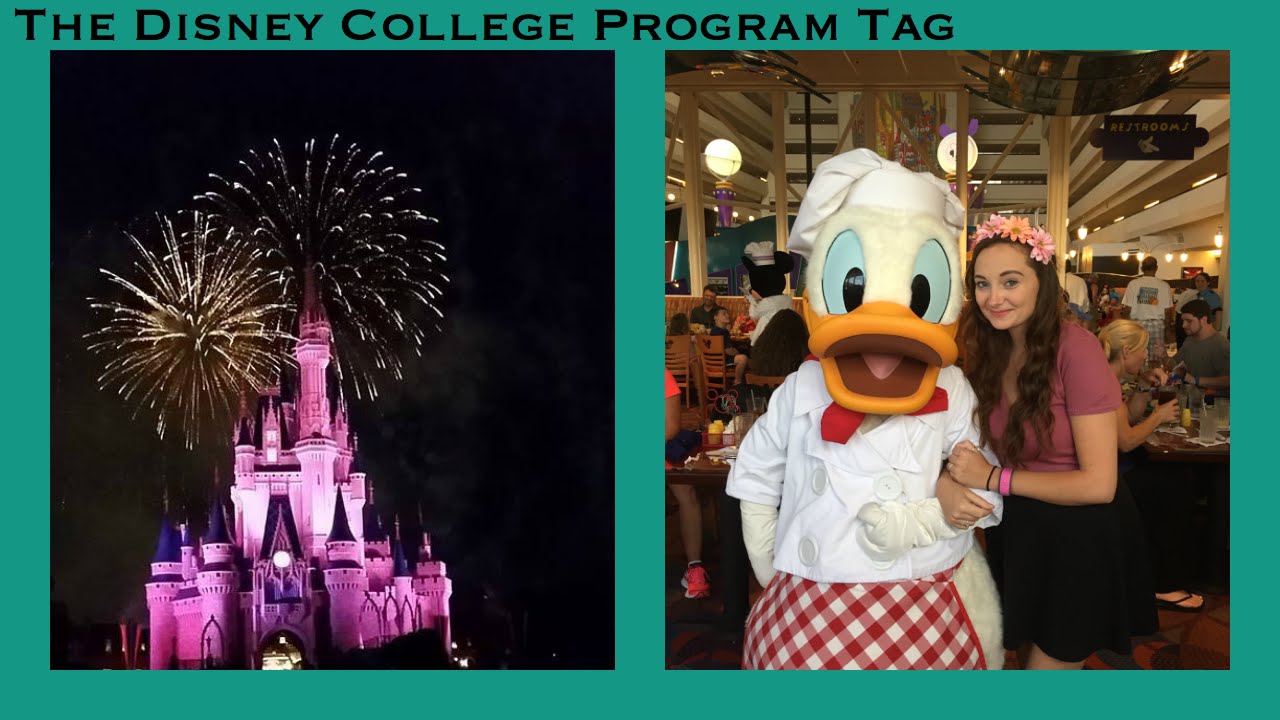 The Disney College Program Tag!