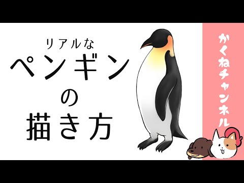 リアルなペンギンの描き方【デジタルでモチーフ作画】