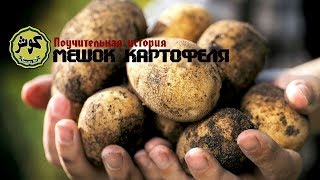 Поучительная история - мешок картофеля