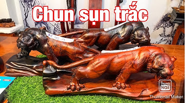 Báo giá 3 chú hổ chất CHUN TRẮC ĐỎ ĐEN tuyệt vời lóng lánh không tì vết LH 0966336318