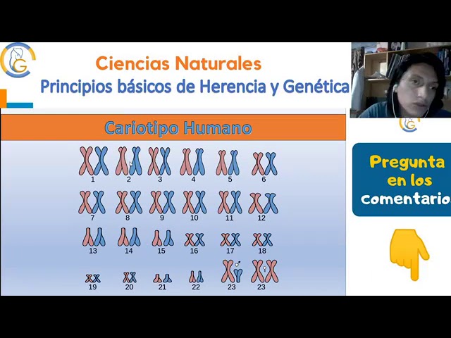 Principios de herencia y genética.