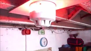 Alistairism Youtube Intro New 2016