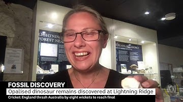 Opalised dinosaur remains discovered at Lightening Ridge - ABC News At Noon