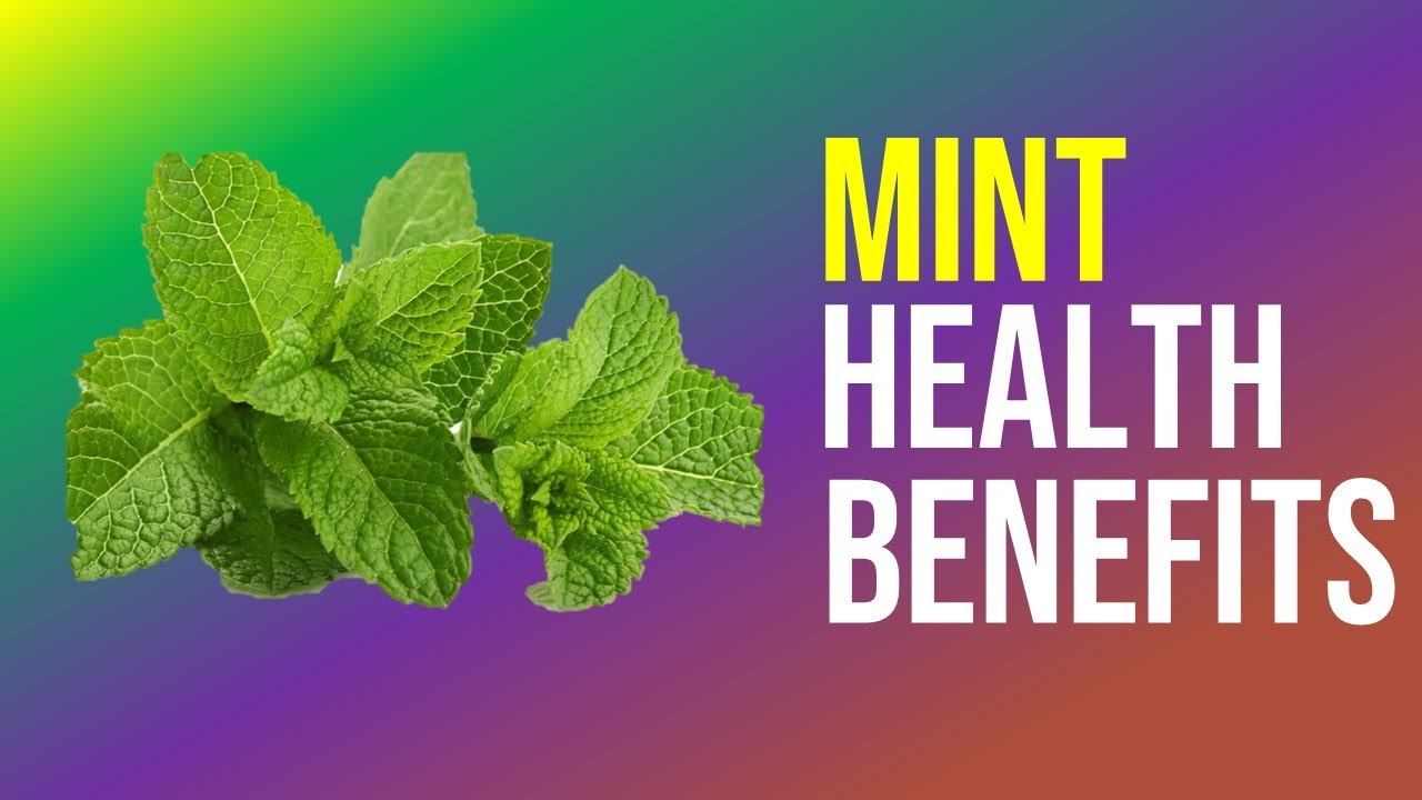 Surprising Health Benefits of Mint The Refreshing Herb You Need! YouTube