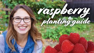 Raspberry Planting Guide | Soil, Sun, pH, Fertilizing, Growing & Caring