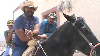 SAN JOSE DEL LLANO MUNICIPIO DE MIQUIHUANA TAMAULIPAS