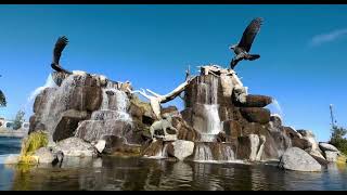 Giant Eagle Waterfall Nest In Idaho Falls, Idaho