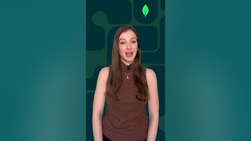 Semantic Search vs Vector Search (And Why You Should Care)