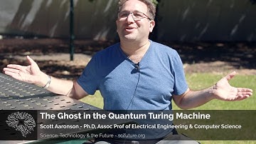 Scott Aaronson - The Ghost in the Quantum Turing Machine