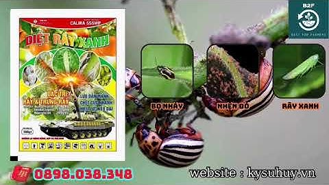 CALIRA 555WP - THUỐC TRỪ RỆP SÁP, BỌ TRĨ, RẦY XANH HIỆU QUẢ - 0898.038.348 #calira555wp