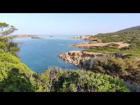 παραλία Χαμολιά Βραυρώνα