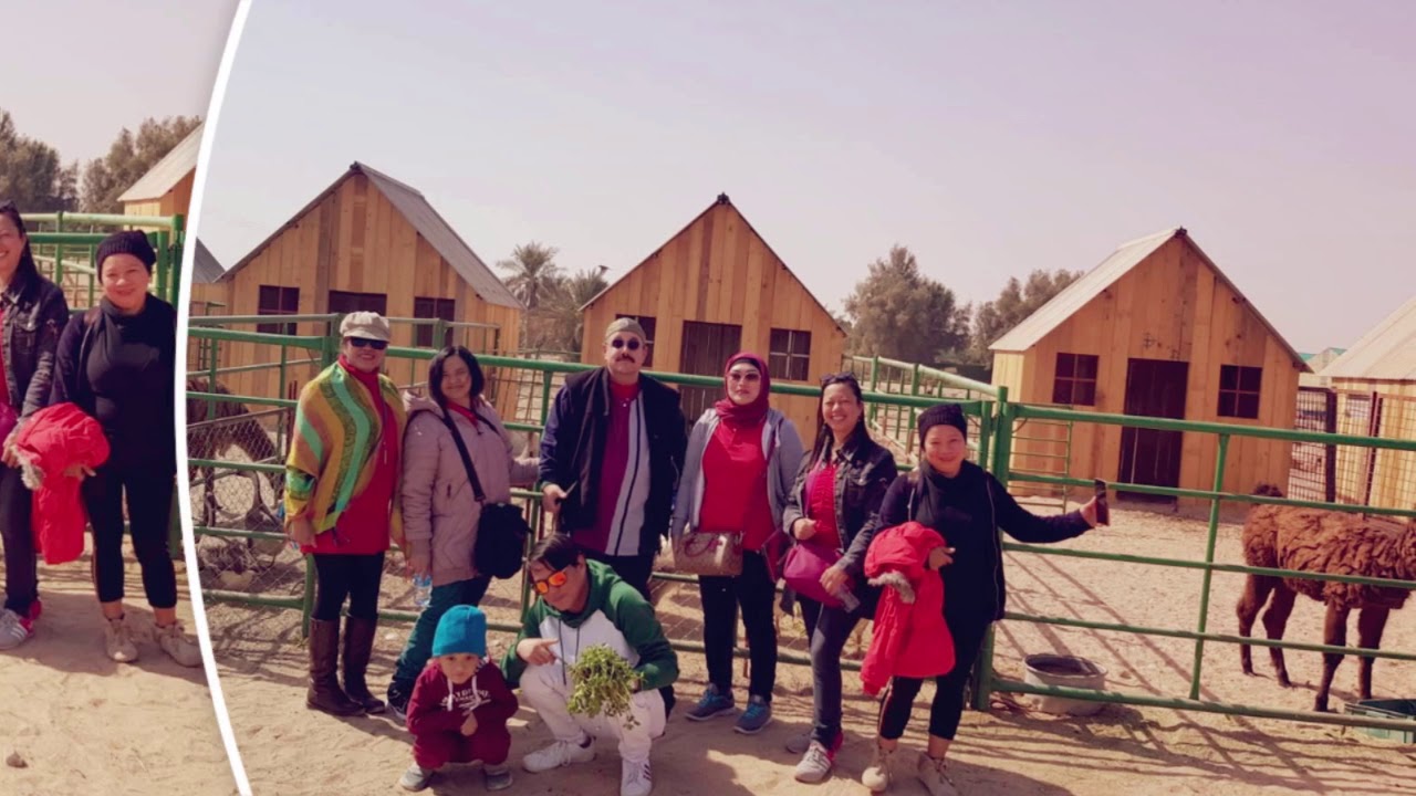 Blue lake strawberry farm Kuwait YouTube