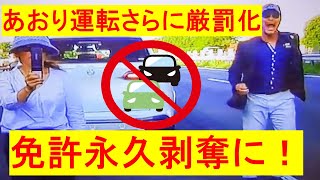 【免許永久剥奪も】あおり運転、さらなる厳罰化に向けて動き出す