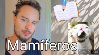 O Que So Animais Mamferos  Fcil