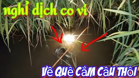 Cắm Câu cá lóc mồi nhái trong mùa dịch nCoV dính toàn cá ngon || how to catch snakehead