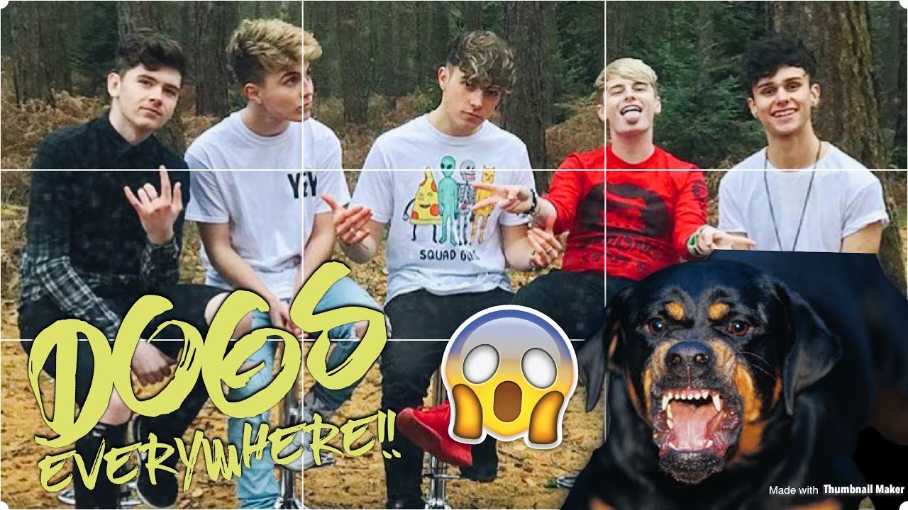 WE GOT CORNERED BY 20 MASSIVE DOGS!!! 😶🐶