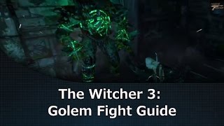 Celebrity The Witcher 3: Golem Fight Guide Wealth