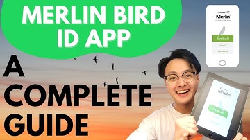 Merlin Bird ID App: A COMPLETE Tutorial Guide