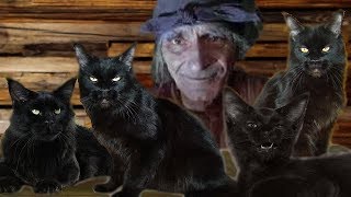 В Рабстве у Матери. Смотрины у Жениха. Колдовское Пленение В Рабстве у Матери. Смотрины у Жениха. Колдовское Пленение