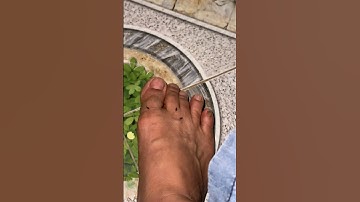 Ai ở miền Tây có cùng cảnh này không #muoi #clipvui #thugian #video #shorts