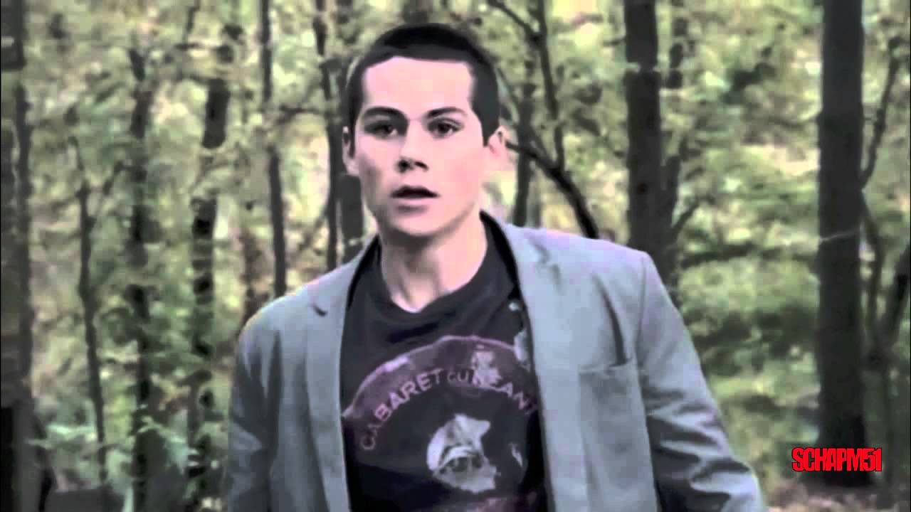 sterek :: i'm in love with a nut job