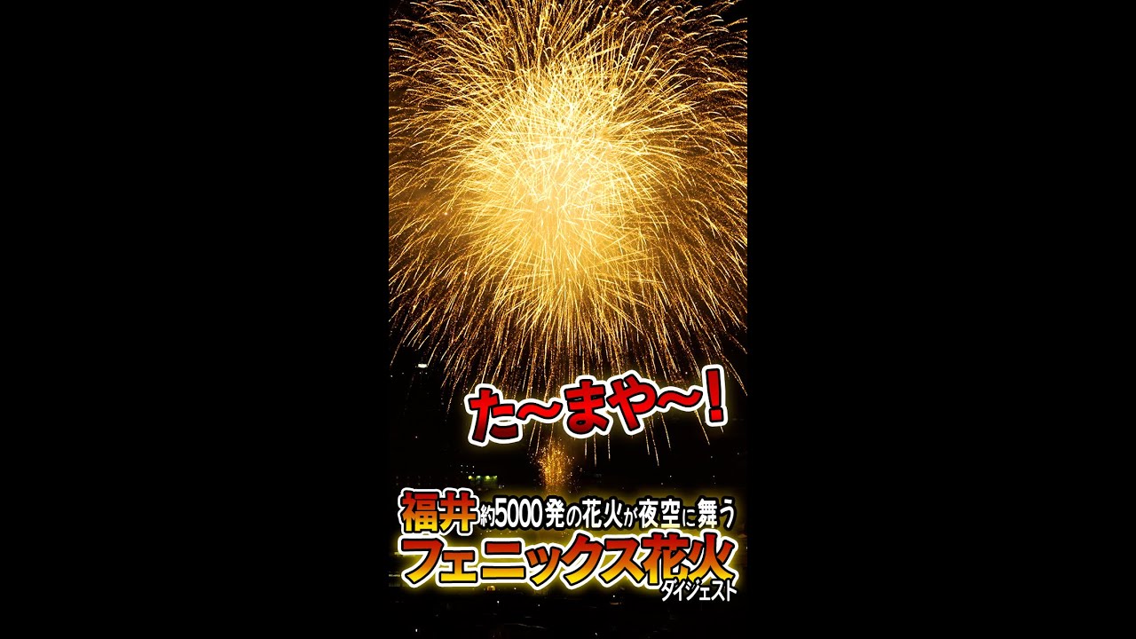 待望 福井フェニックス花火22 3年ぶりに開催 約5000発 夜空を彩る 下市山より ダイジェスト Youtube 待望 福井フェニックス花火22 3年ぶりに開催 約5000発 夜空を彩る 下市山より ダイジェスト Youtube