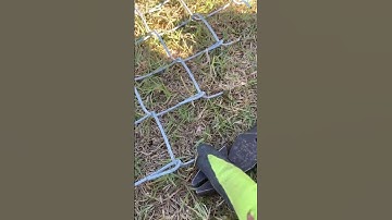 Fence cut down 6ft. to 5ft. - Cut and fold.