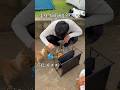 단체캠핑 중 혼자서 몰래 먹는 진상?? 옆에 강아지도 입맛다시는 올시캠 닭갈비 #백패킹 #캠핑 #캠핑밀키트