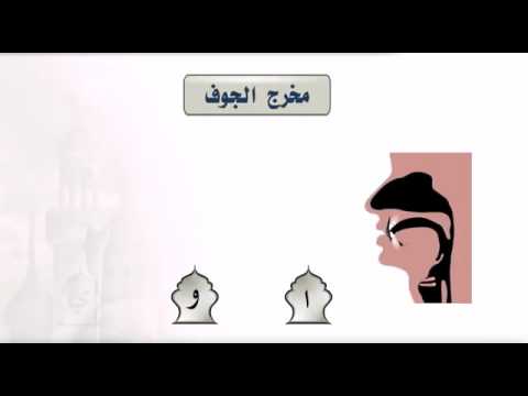 التجويد المبسط مخارج الحروف مخرج الجوف