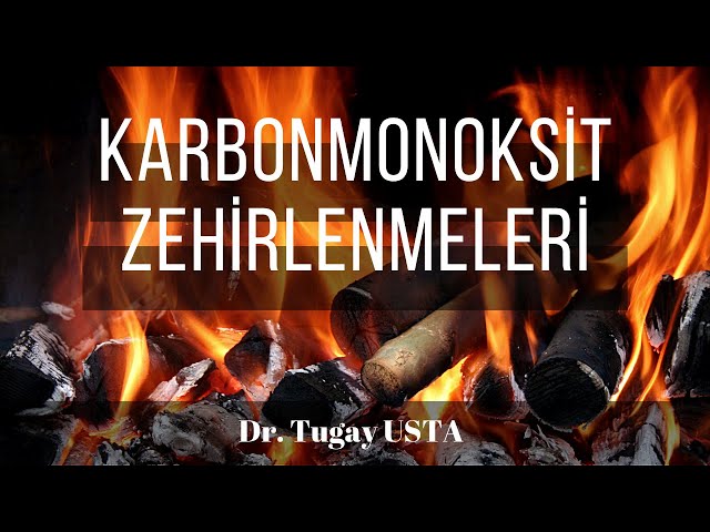 Karbonmonoksit Zehirlenmeleri Tugay Usta