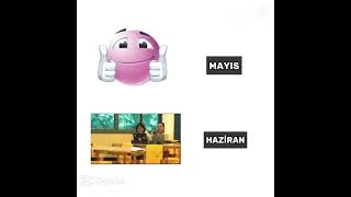 4,8 Ve 12. Sınıflar Anladıöneçıkart