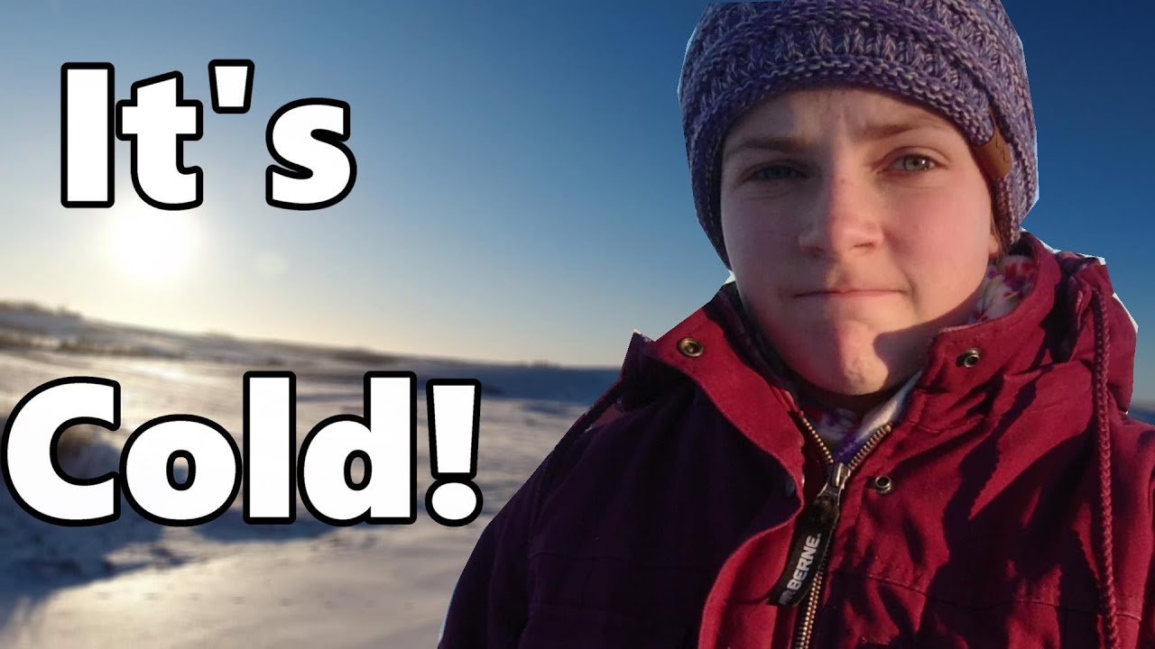 0 Degrees... Time to crank up the wood stove! | Busting into the wrapped bales and Chicken update!