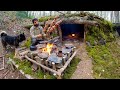 Construire un abri en bois et roche pour 3 jours de survie chemine cuisson des cailles bushcraft