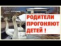 Родители прогоняют детей. Семейные отношения, белые лебеди.