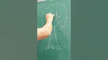 Vẽ cây đơn giản nhất #drawing #vecay