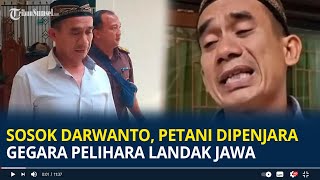 Sosok Darwanto, Petani Madiun Dipenjara Gegara Pelihara Landak Jawa, Tak Tahu Dilindungi