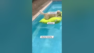 Market volatility? Problem solved😌, diversify your portfolio with Monexo