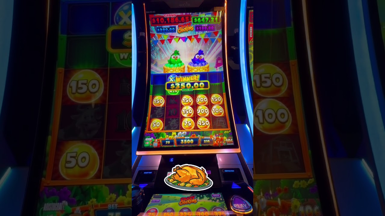 CRAZY CHICKEN BONUS!!! SHAKY SHAKY HAPPENED!! 