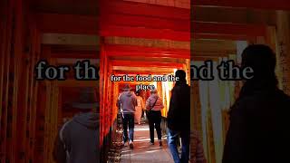 Why do Japanese people avoid eating while walking